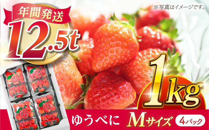 いちご Mサイズ ゆうべに 1kg（4pc）【熊本ベリー】いちご イチゴ 苺 ゆうべに 大粒いちご  [ZER007]