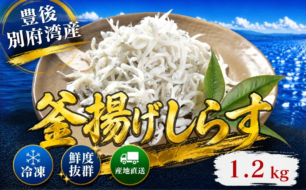 
                  豊後別府湾釜揚げしらす 計 1.2kg（300g×4p） 国産 添加物不使用 ／ 釜揚げしらす かまあげしらす カマアゲシラス 小分け 国産 しらす シラス 1kg 1キロ 釜揚げ シラス丼 海鮮丼 おつまみ 冷凍配送 冷凍 スピード発送 スピード ＜108-214＞
                