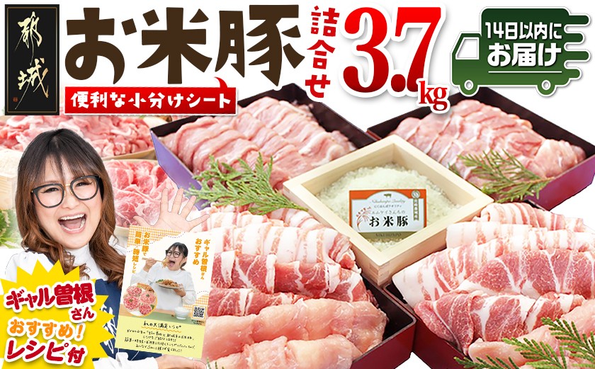 
            お米豚3.7kgセット≪みやこんじょ快速便≫_23-3101-R_(都城市) 豚肉 豚ロース 豚こま切れ 豚バラ肉 豚肩ロース ブランド豚 小分け シート仕切り スライス肉 14日以内にお届け
          