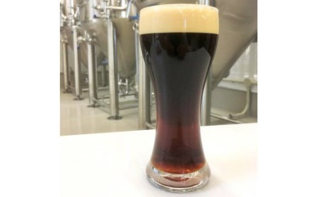 KIX BEER デュンケル12本セット