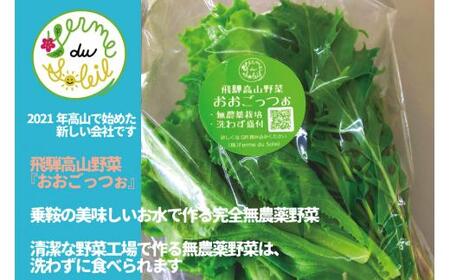 【 6ヶ月 定期便 】飛騨の新鮮モッツァレラ＆フレッシュ野菜 セット 6回お届け モッツァレラチーズ DF101