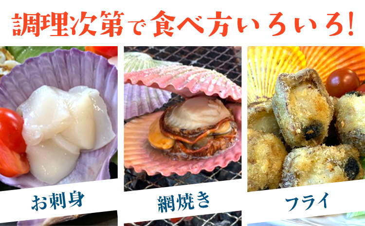 緋扇貝 贈答 お歳暮 ヒオウギガイ 西日本限定発送 15個 福島水産《11月上旬-2月末頃出荷》檜扇貝 生食 貝柱 天草 苓北 熊本 貝 かい ソテー バーベキュー カラフル 二枚貝 送料無料＜ 先行
