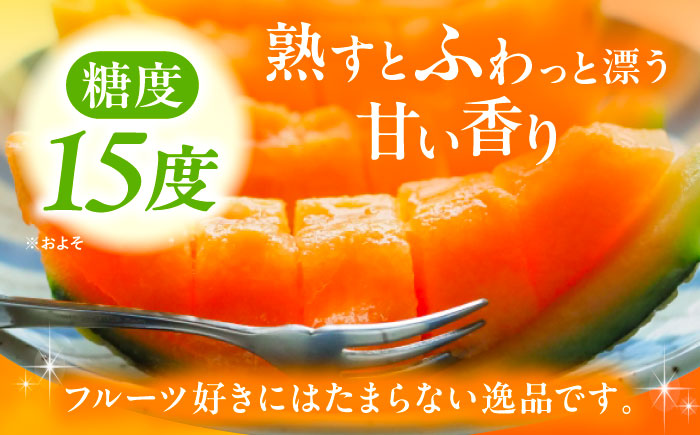【7月下旬以降順次発送】 北海道十勝 あしょろ銀河メロン ルピアレッド 1.5kg×2玉（赤肉）《足寄町》【郊南ハウス組合】[BEAO001]