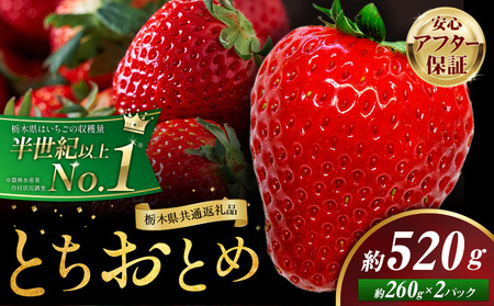 栃木いちごとちおとめ2パック《1月中旬-5月末頃出荷》 【配送不可地域】沖縄・離島