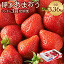 【ふるさと納税】【定期便】博多あまおう リッチな3回定期便 計3.36kg 計12パック あまおう いちご イチゴ 苺 果物 くだもの フルーツ 冷蔵 国産 九州 福岡県 岡垣町 送料無料【2024年12月上旬～2025年2月下旬発送予定】