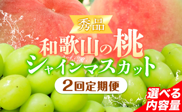 
            【2回定期便】【贈答用/熨斗非対応】秀品 和歌山の桃 約2kg (6玉~8玉) 大粒 シャインマスカット 約1.2kg または 1.4kg m&n果実園 《2025年6月中旬-10月下旬頃出荷》和歌山県 紀の川市 送料無料 桃 旬 果物 フルーツ【配送不可地域あり】
          