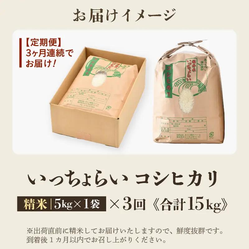 【先行予約】【令和8年産・新米】【一等米】《定期便3回》いっちょらい 精米 5kg × 3回（計15kg）／ 福井県産 ブランド米 コシヒカリ ご飯 白米 新鮮 大賞 受賞 新米 福井県あわら産 ※2