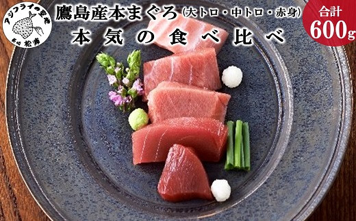 鷹島産本まぐろ本気の食べ比べ(大トロ・中トロ・赤身合わせて600g)( 養殖本まぐろ 鷹島本まぐろ 新鮮 マグロ )【C8-012】