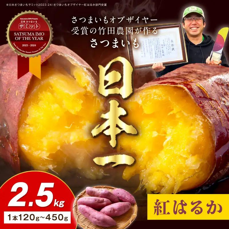 【さつまいも】【先行予約】日本一のさつまいも 2.5kg｜2026年11月中旬から発送