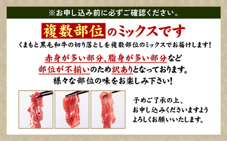 【訳あり】 くまもと黒毛和牛 切り落とし 1.2kg 毎月数量限定 ミックス 牛肉