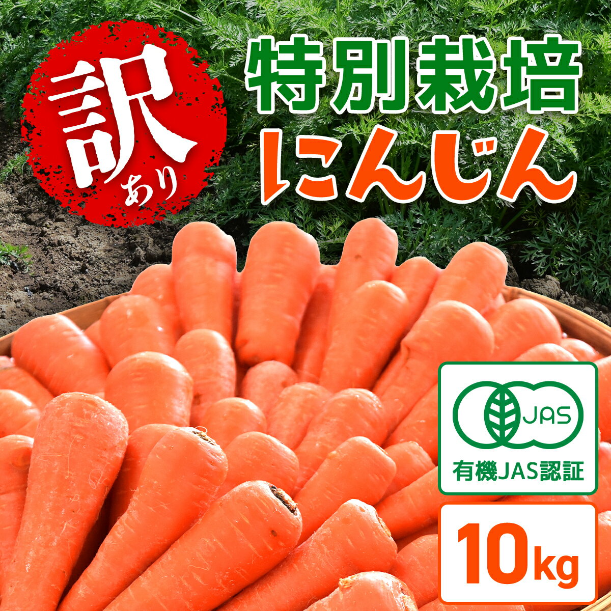 【ふるさと納税】【春にんじん先行予約・6月～発送予定】訳あり 有機JAS認証 特別栽培 にんじん 10kg ／ ふるさと納税 やさい 野菜 人参 ニンジン にんじん 有機栽培 有機JAS取得 安心安全 訳あり 不揃い ジュース スムージー 千葉県 山武市 SMF002