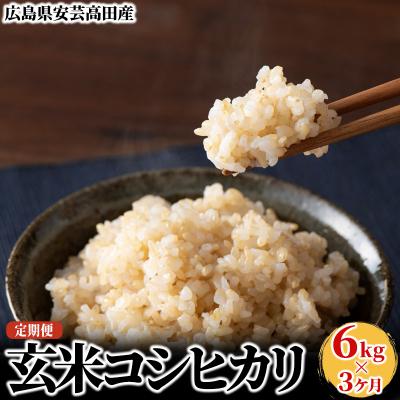 ふるさと納税 安芸高田市 米 【3ヶ月お届け】令和7年産コシヒカリ『玄米』5kg お米 定期便 [No5895-0256]