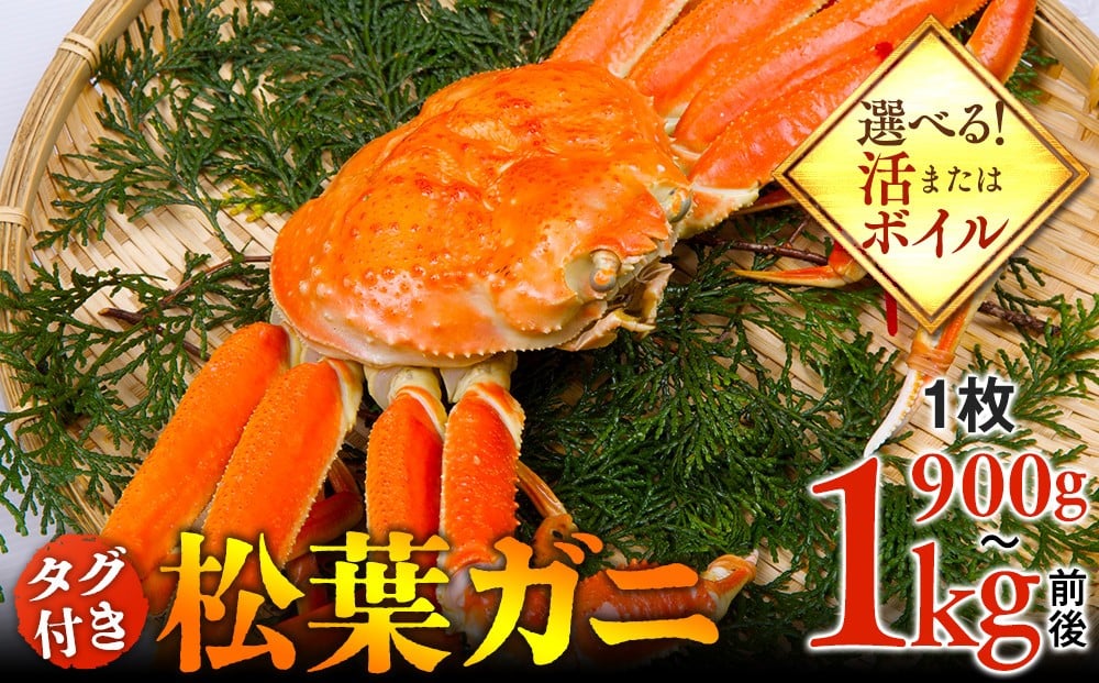 
            【選べます！活またはボイル】タグ付き松葉ガニ 特大1枚（900g～1kg前後）【着日指定不可】※2025年11月上旬～2026年3月下旬頃に順次発送予定 ｜
          