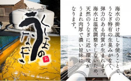OTUTD-3 【数量限定】特大くしまの黒潮うなぎ蒲焼３尾（合計750g前後）【大田商店】