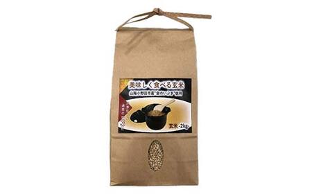 美味しく食べる玄米2kg×2袋　F6L-638