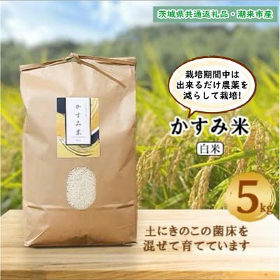 ふるさと納税 鹿嶋市 令和7年産　栽培期間出来るだけ農薬を減らして作る「かすみ米」精米5kg茨城県共通返礼品・潮来市産