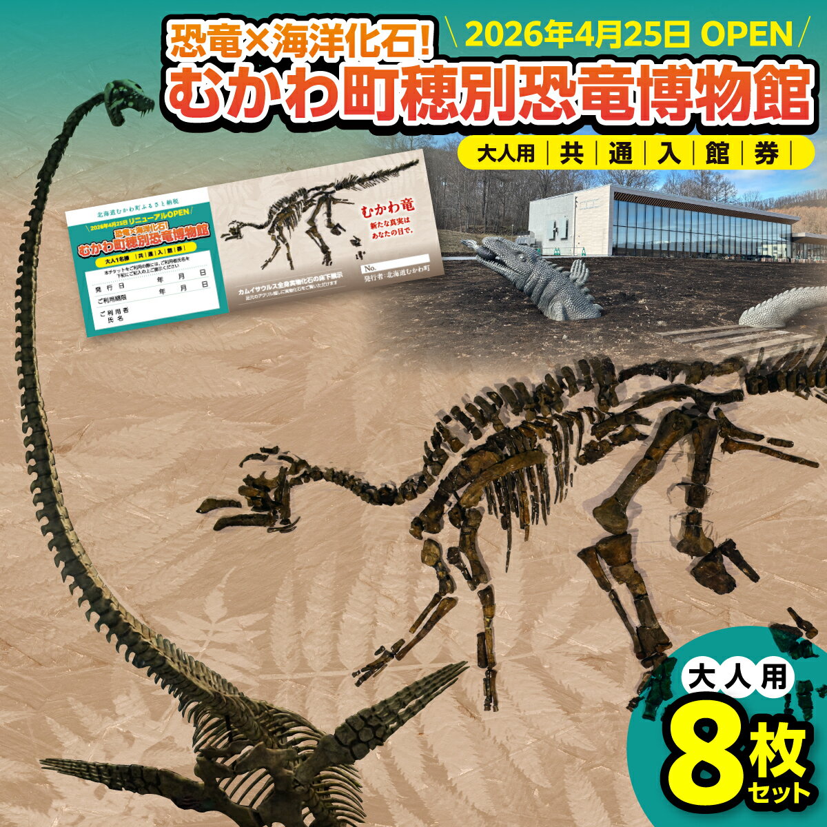 【ふるさと納税】【令和8年4月25日OPEN】恐竜×海洋化石！むかわ町穂別恐竜博物館 共通入館券　大人用8枚セット 【 むかわ町穂別恐竜博物館 共通入館チケット カムイサウルス むかわ竜 恐竜館 海洋化石館 北海道 観光チケット 家族旅行 レジャー 】 MKWAM003