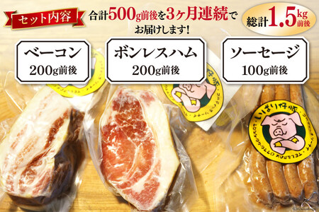 【定期便 3か月連続】シェフもおすすめ「日本で一番おいしい豚肉！」★いばり仔豚★ソーセージ＆ベーコン＆ハム詰め合わせコース