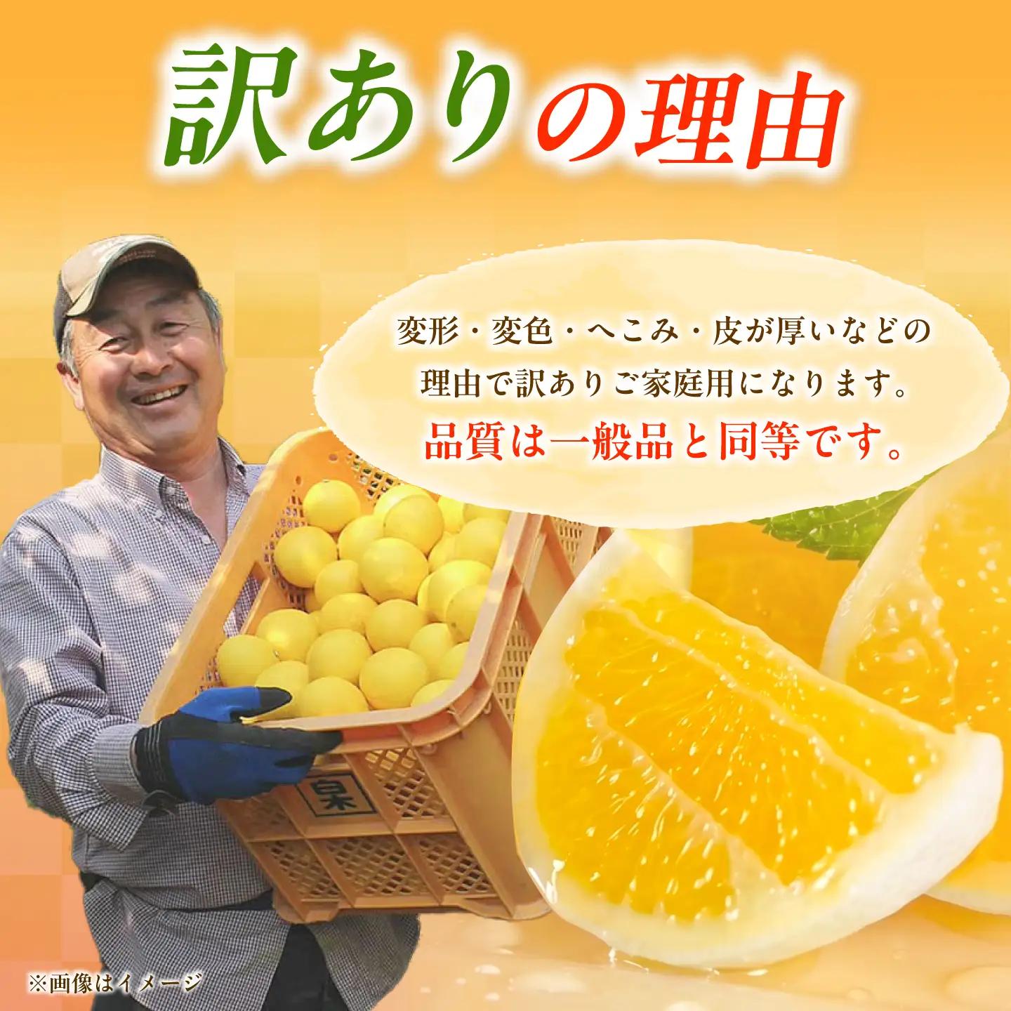 【先行予約】【訳あり】 土佐小夏 ご家庭用 約3.5kg〈2027年5月下旬-2027年6月下旬頃発送〉 高知県土佐市 【株式会社SHIRAKI】 [BQAI033]