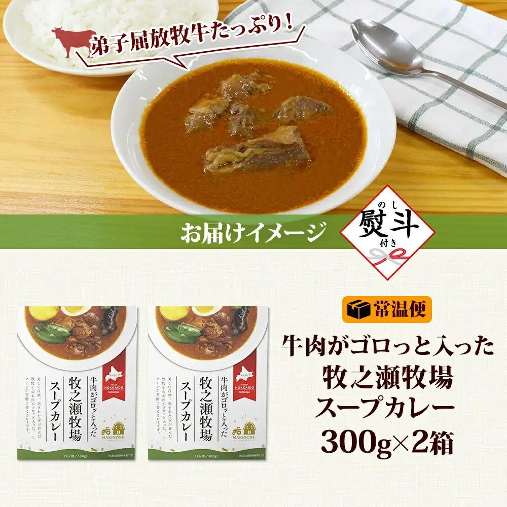無地熨斗 ビーフ スープカレー 300g 2箱 カレー ビーフカレー スープ 牛 牛肉 放牧牛 牧場 レトルトカレー レトルト食品 レトルト 湯煎 レンジ 牧之瀬牧場 送料無料 北海道 弟子屈町 30