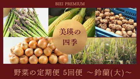 野菜 定期便 【令和７年産予約受付！】～美瑛の四季～ 野菜の定期便【鈴蘭(大)】5回便 | 野菜 定期便 野菜 定期便 野菜 定期便 野菜 定期便 野菜 定期便 [085-02]