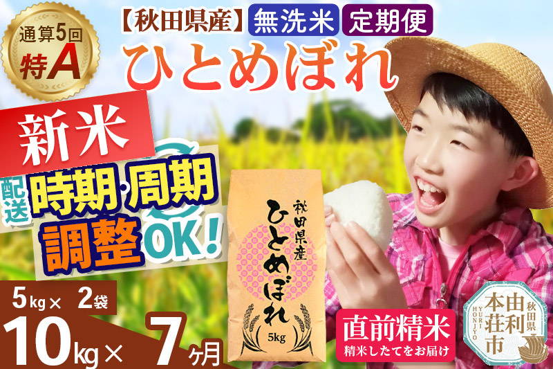 《定期便7ヶ月》令和7年産 【無洗米】通算5回特A 秋田県産ひとめぼれ 計10kg (5kg×2袋) お届け周期調整 隔月もOK
