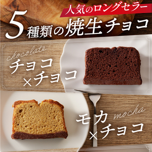 リュバン　焼生チョコ　10個セット スイーツ 洋菓子 お菓子 焼き菓子 デザート おやつ 甘さ控えめ お取り寄せ お洒落 ラッピング対応 贈り物 ギフト プレゼント ギフト クール便 送料無料 山梨県
