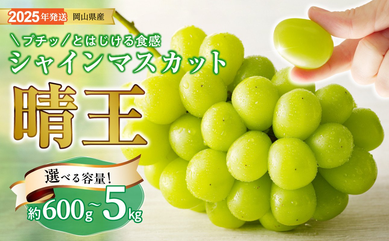 
            シャインマスカット「晴王」秀品 600g 1kg 1.5kg 2kg 5kg（令和７年8月中旬以降発送）【 選べる内容量 シャインマスカット 晴王 フルーツ 果物 葡萄 ぶどう 岡山県産 秀品 種無し 高糖度 hzS-M 】【2025年発送分 先行受付スタート】
          