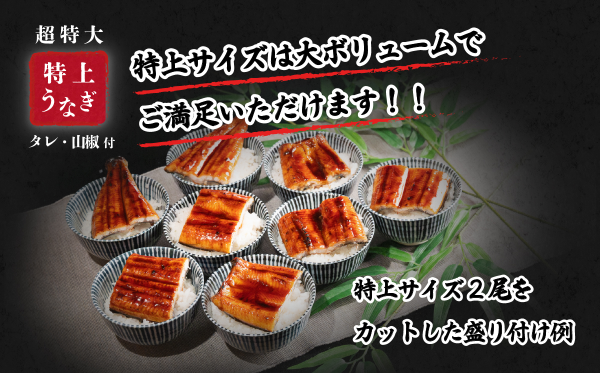 【土用の丑の日までにお届け】＼レビューキャンペーン実施中／特上 国産うなぎ蒲焼き2尾セット 【合計550g以上】 山椒付き 鰻 ウナギ [SF006ya]