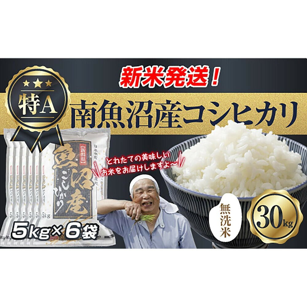 【ふるさと納税】【令和8年産　新米予約】「無洗米」 新潟県 南魚沼産 コシヒカリ お米 5kg×6袋 計 30kg 精米済み（お米の美味しい炊き方ガイド付き） お米 こめ 白米 こしひかり 食品 人気 おすすめ 魚沼 南魚沼 南魚沼市【2026年10月中旬より1ヶ月以内に順次発送予定】