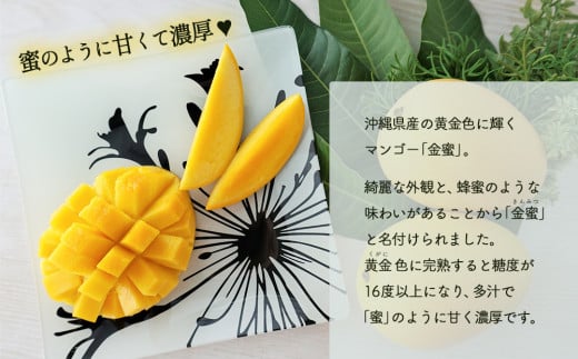 黄金(くがに)マンゴー「金蜜」(2kg以上) 【2025年７月中旬～