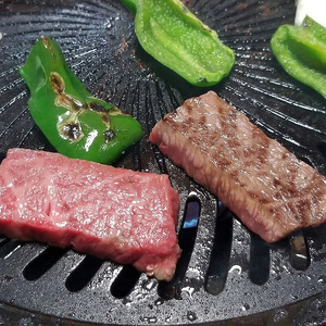 【化粧箱入】【A4~A5】博多和牛 肩ロースミニステーキ400g (ソース・塩胡椒付) [BGAC002] 肩ロース 肩ロース 肩ロース 肩ロース 肩ロース 肩ロース