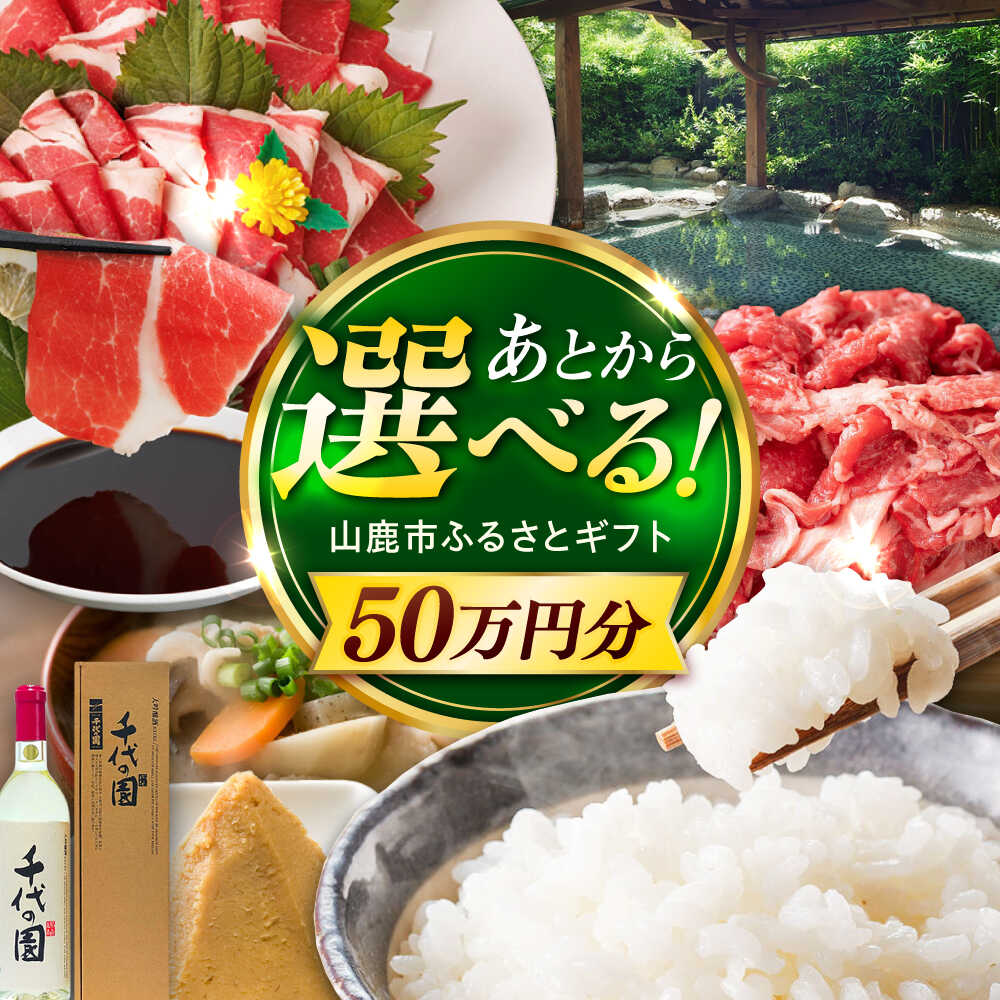 【ふるさと納税】【あとから選べる】山鹿市ふるさとギフト　50万円分 米 牛肉　豚肉 馬刺し くまもと黒毛和牛 定期便 山鹿[ZEC031]