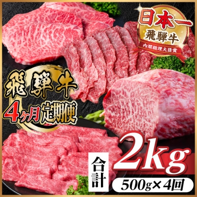 
            ＜毎月定期便＞飛騨牛 赤身定期便 計2kg 焼肉 BBQ すき焼き しゃぶしゃぶ ブロック全4回【4072758】
          