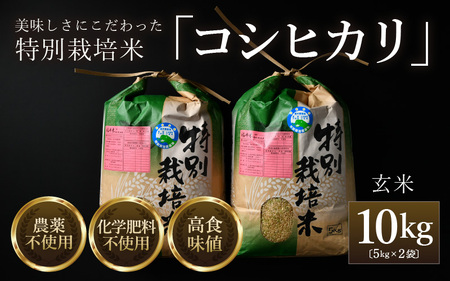 【令和6年産】コシヒカリ 玄米 5kg×2袋（計10kg） 特別栽培米 農薬不使用 化学肥料不使用 ／ 残留農薬ゼロ 高品質 福井県産 ブランド米 玄米 [aw063-c006]