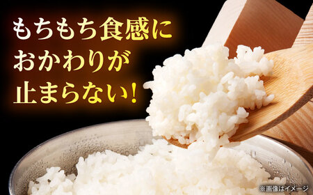 【先行予約】【6回定期便】山鹿市産 ヒノヒカリ 白米  5kg 【奥村果実園】[ZFK013]