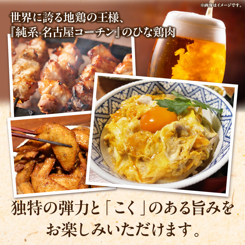 純系 名古屋コーチン ひな鶏 「食べ比べ４種セット」