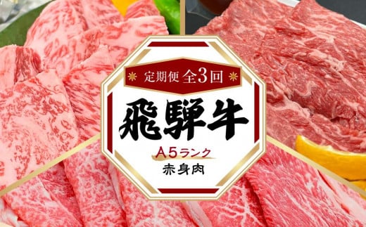 飛騨牛 A5 赤身 定期便 全3回 約1kg（すき焼き しゃぶしゃぶ 焼肉）定期便 牛肉 定期便 肉 和牛 焼肉 すき焼き 牛肉 しゃぶしゃぶ 定期便 牛肉 すき焼き 牛肉 しゃぶしゃぶ 焼肉 定期便 牛肉 人気 HF101　