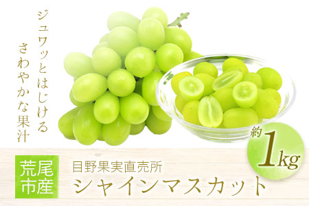 シャインマスカット 約1kg （1房～3房） フルーツ 果物 新鮮 《8月上旬-9月下旬頃出荷》熊本県 荒尾市産 目野果実直売所 美味しいシャインマスカット 旬のシャインマスカット ジューシーシャインマスカット フルーツシャインマスカット