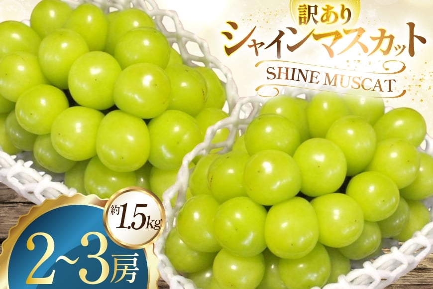 
            【期間限定発送】 訳あり シャインマスカット 2～3房 約 1.5kg [ごとう農園 山形県 高畠町 tk06bcz270001] フルーツ 果物 くだもの ぶどう ブドウ 葡萄 1.5キロ 甘い 果実 デザート マスカット 農家直送 産地直送 数量限定 期間限定 わけあり
          