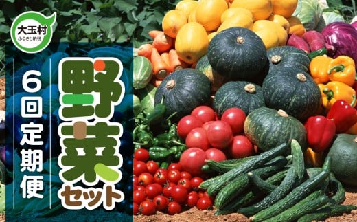 野菜 セット  (全6回)  先行 予約・ 定期便 旬 の 野菜 10品目 前後 お届け｜トマト 大根 小松菜 ねぎ にんじん ピーマン きゅうり ナス 他｜新鮮 野菜詰め合わせ 無農薬 直送 定期 野菜便 福島県 大玉村 01108