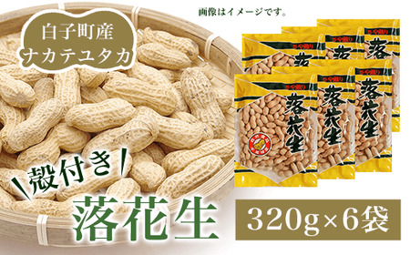 【先行予約10月下旬発送】白子町産ナカテユタカ 殻付き落花生 320g×6袋（E） SHJ005