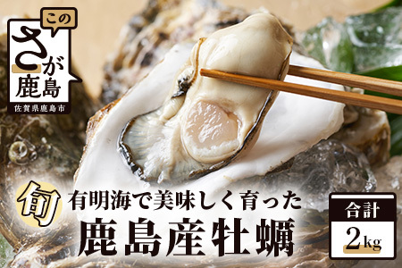 鹿島産 牡蠣 約2kg(殻付き)【加熱調理用】品種(スミノエ)B-559 牡蠣焼き 牡蠣小屋 佐賀の牡蠣 有明海の牡蠣 おいしい牡蠣 おすすめ牡蠣