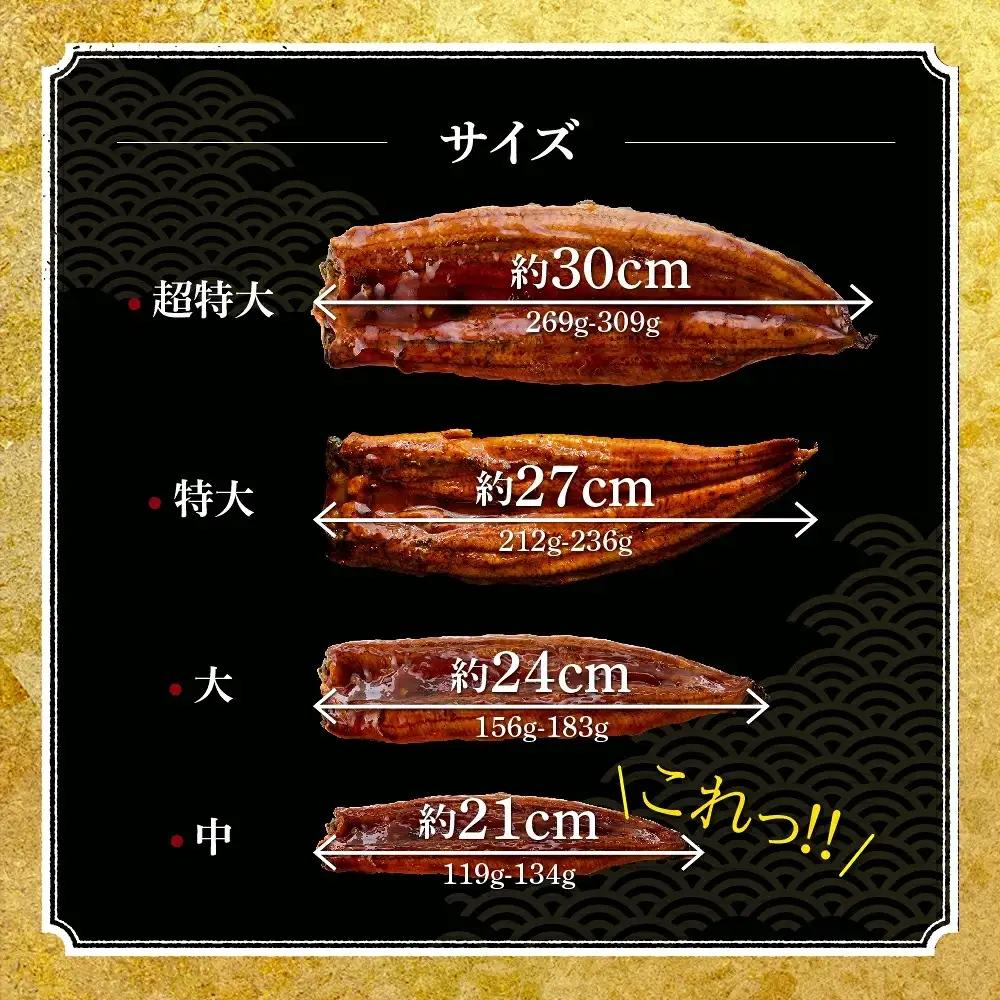 うなぎ蒲焼 中2尾 定期便6回 超絶 うなぎ