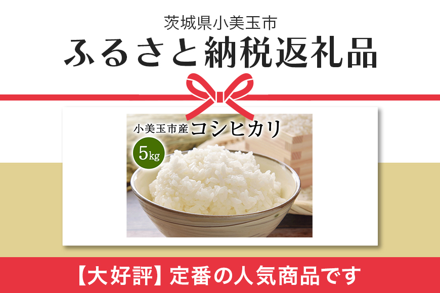 令和5年産 特別栽培米コシヒカリ 5kg こしひかり お米 白米 リピーター続出 特別栽培 天然肥料 茨城県 小美玉市 14-C