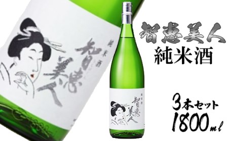 中野酒造清酒智恵美人純米酒1800ml 3本セット＜105-029_5＞