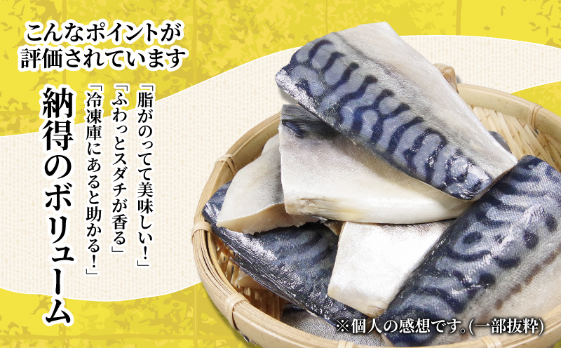 さば 1.3kg 冷凍 | サバ 鯖 鮮魚 切り身 鮮度抜群 海鮮 海鮮食品 おかず 惣菜 魚 塩サバ グリル 焼き魚 切り身 さっぱり すだち風味 夏 人気 切り身 おかず 肉厚 ジューシー アレン