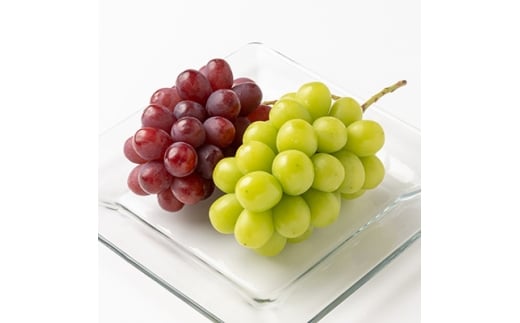 ＜2026発送＞信州高山村 長野県産シャインマスカット　クイーンルージュ　約1kg(2房入)【1655749】