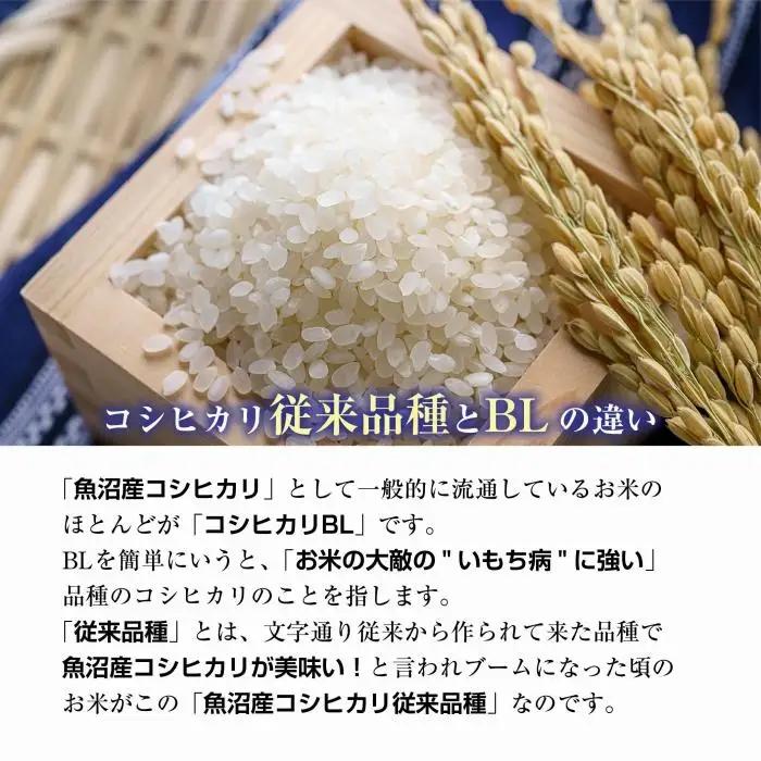 ｜定期便｜ 新潟県 南魚沼産 コシヒカリ 【従来品種】塩沢地区 お米 10kg × 6回 毎月発送 精米済み（お米の美味しい炊き方ガイド付き）