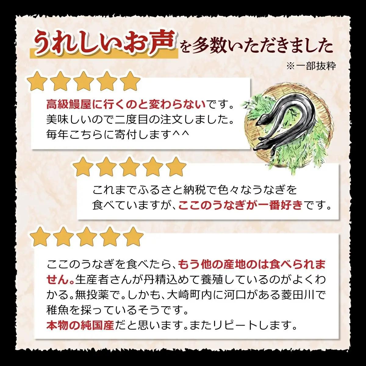 泰正オーガニック うなぎ 蒲焼　特大3尾　| うなぎ